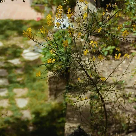 Bed & Breakfast Sotto La Luna Agugliano