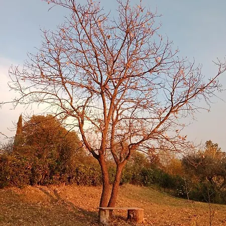 B&B Sotto La Luna 3*